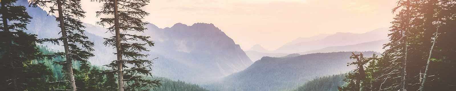 Scenery in washington state