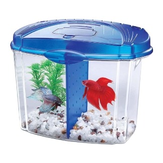 Aqueon Betta Bowl Kit Blue .5 Gallon