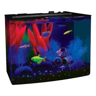 GloFish Aquarium Kit with LED Lighting and Filtration Included