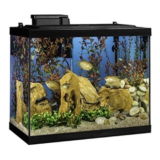 Tetra Aquarium 20 Gallon Fish Tank Kit