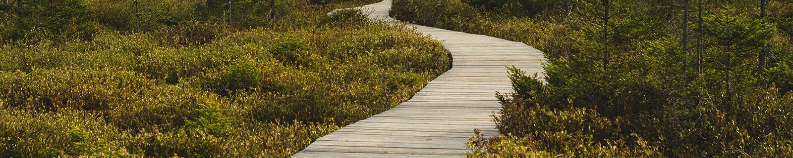 best hiking stroller