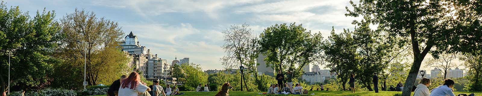 dog insurance by breek