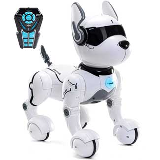 Remote Control Robot Dog for Kids