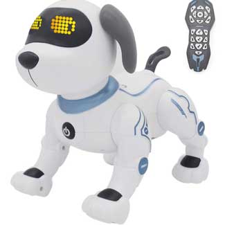 fsca Remote Control Dog