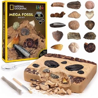 National Geographic Mega Fossil Excavation Kit