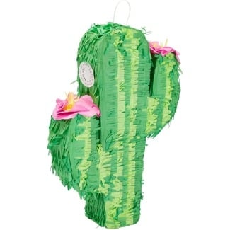 Cactus Piñata for Kids Birthday Party